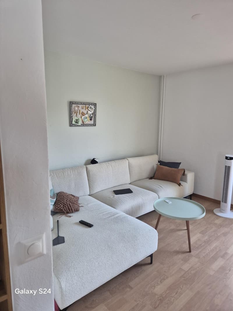 4½ Zimmer-Wohnung in Seuzach hell, gepflegt und zentral gelegen (3)