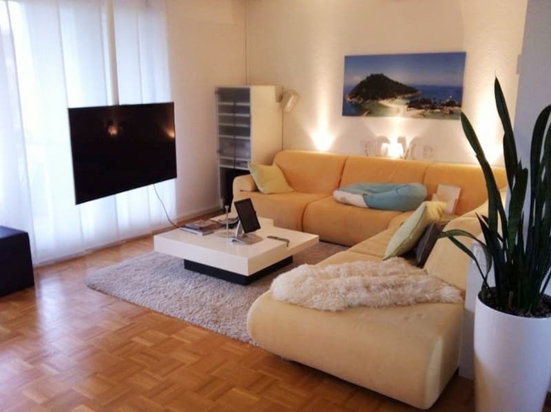 Grosszügige 4.5-Zimmer-Wohnung in Winterthur (2)