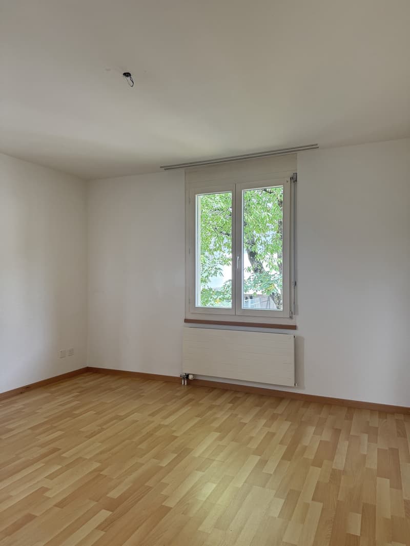 Zimmer