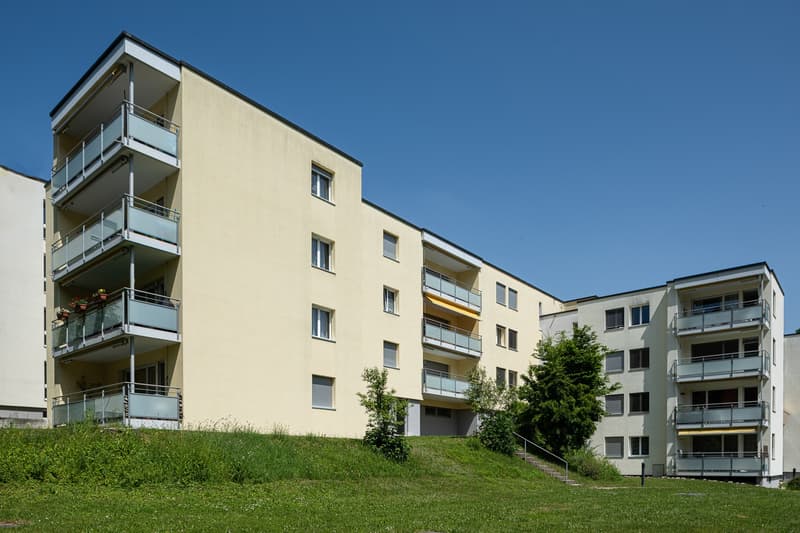 Grosszügige 4.5-Zimmerwohnung mit Balkon in Langwiesen (1)
