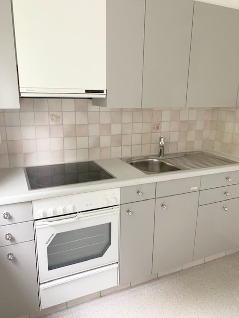 Gemütliche Wohnung in Oberwinterthur (3)