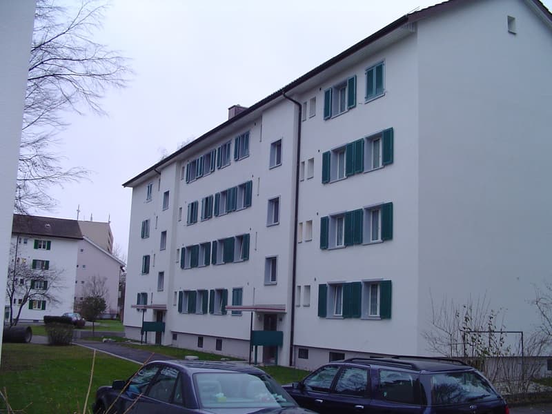 Gemütliche Wohnung in Oberwinterthur (1)