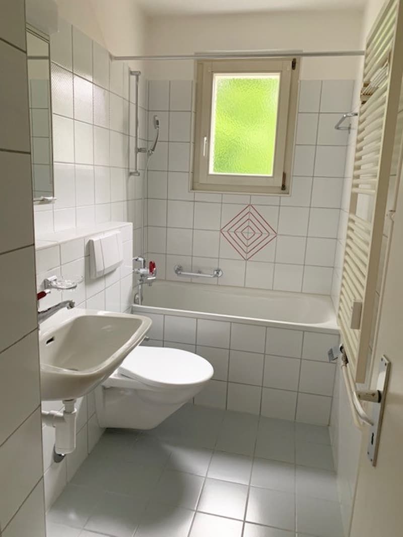 Gemütliche Wohnung in Oberwinterthur (4)