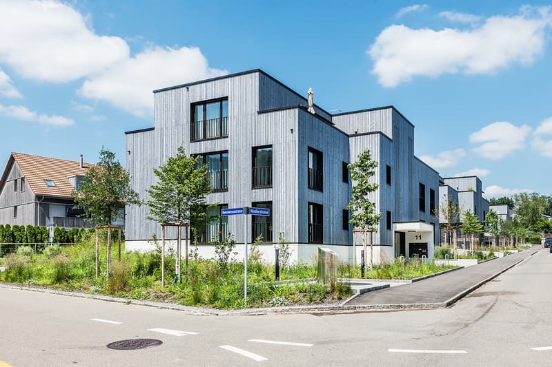 Modern Wohnen in Winterthur-Dättnau (1)