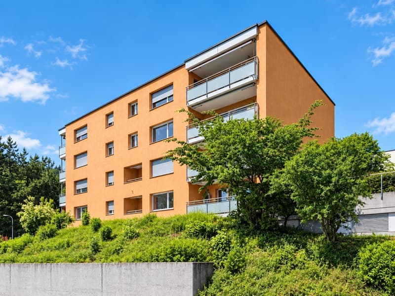 Grosszügige 4.5-Zimmerwohnung mit Balkon in Langwiesen (1)