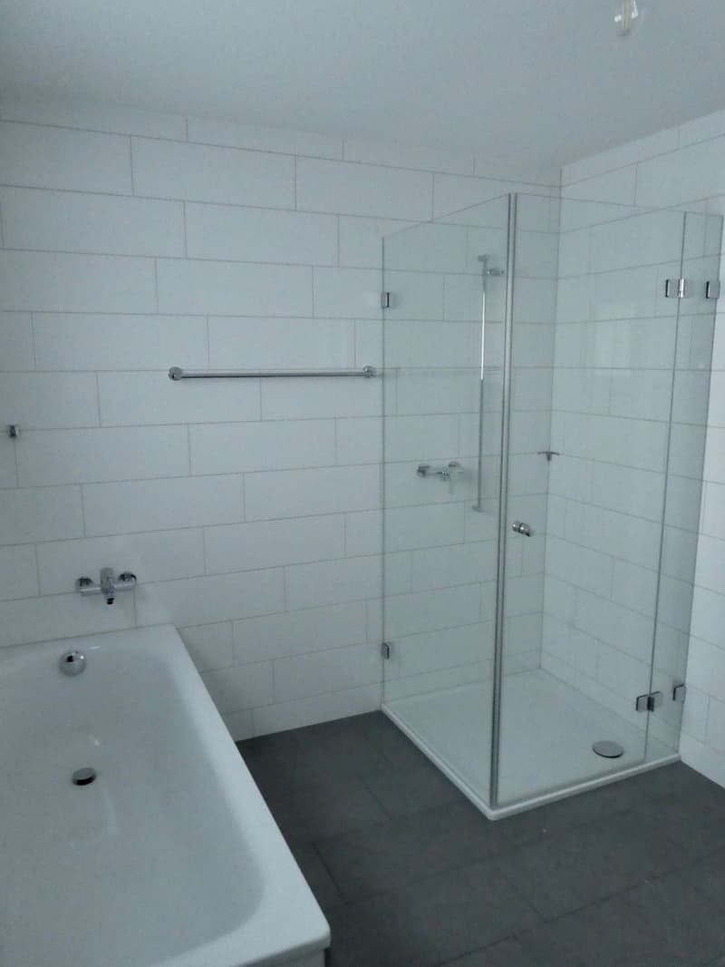 Helle Wohnung an zentraler Lage (6)