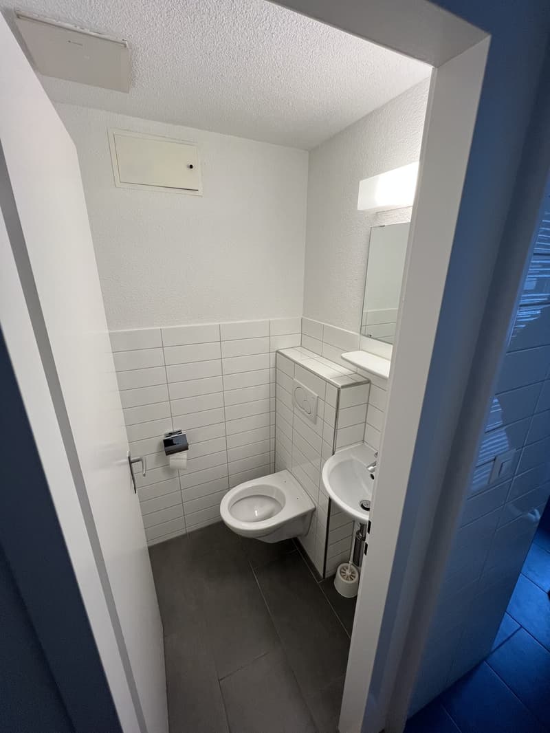 Grosszügige 2.5 Zimmer-Wohnung in Adlikon mieten (6)