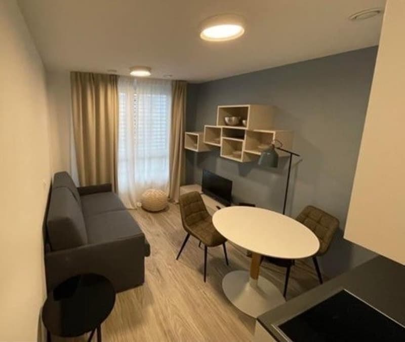 1 ½ Zimmer-Wohnung, 5210 Windisch (2)