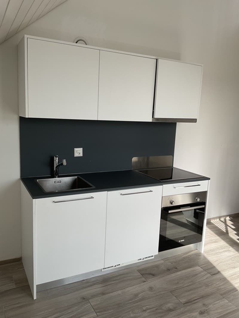 2 ½ Zimmer-Wohnung, 5210 Windisch (4)