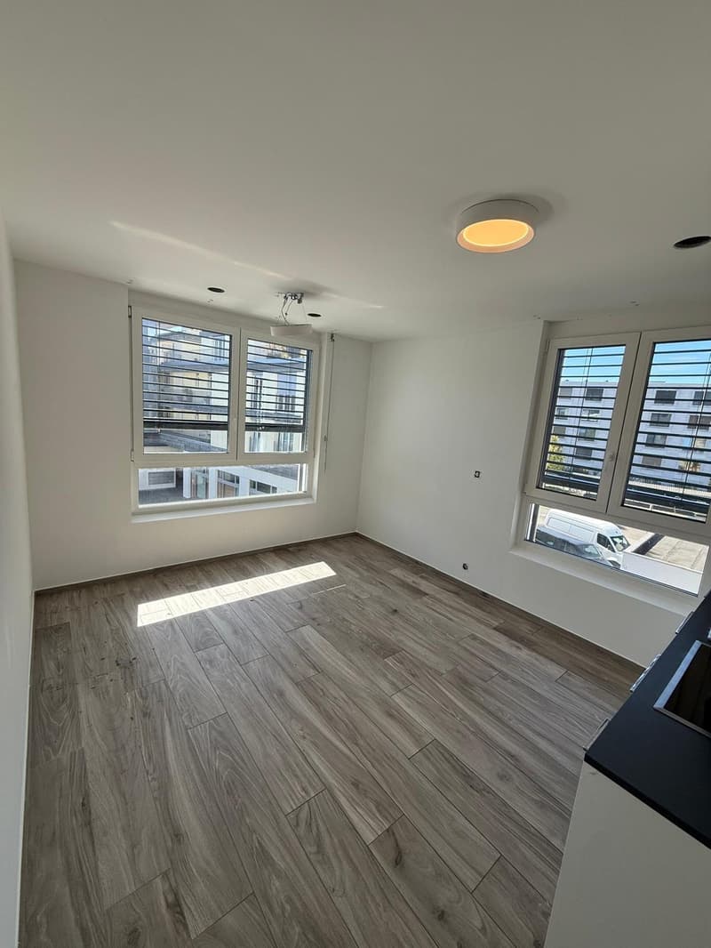 2 ½ Zimmer-Wohnung, 5210 Windisch (2)