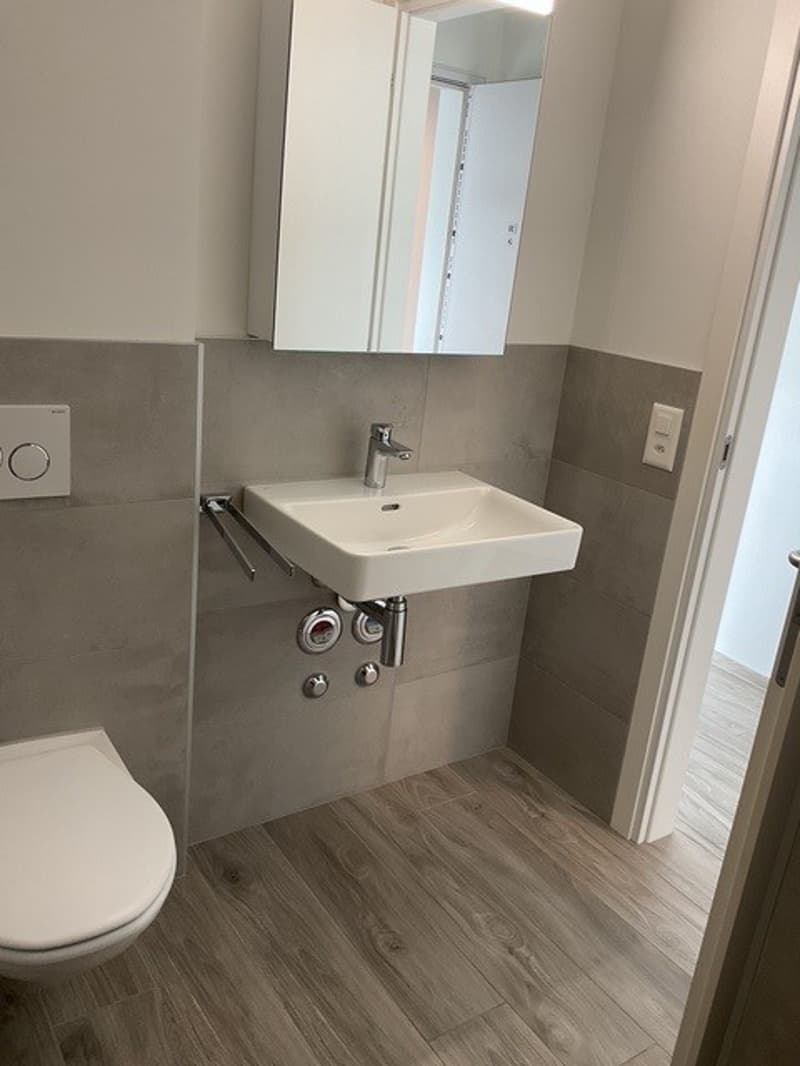 2 ½ Zimmer-Wohnung, 5210 Windisch (7)