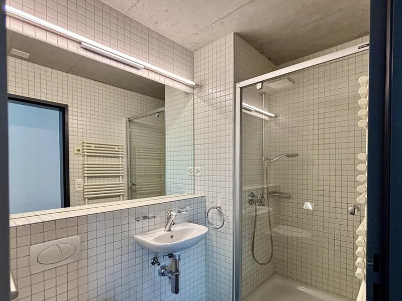 Attraktive 3.5-Zimmer-Wohnung in angenehmer Wohnlage (6)