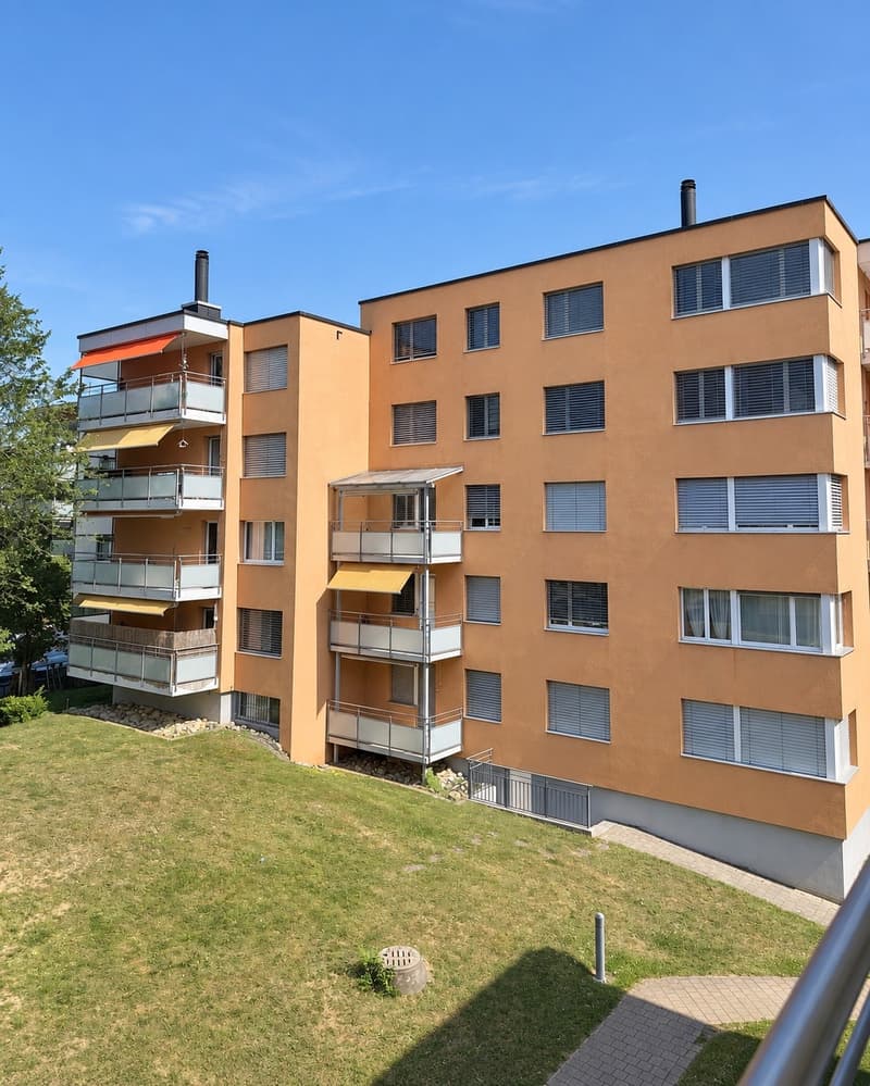 gemütliche 3.5-Zimmerwohnung in Langwiesen (1)