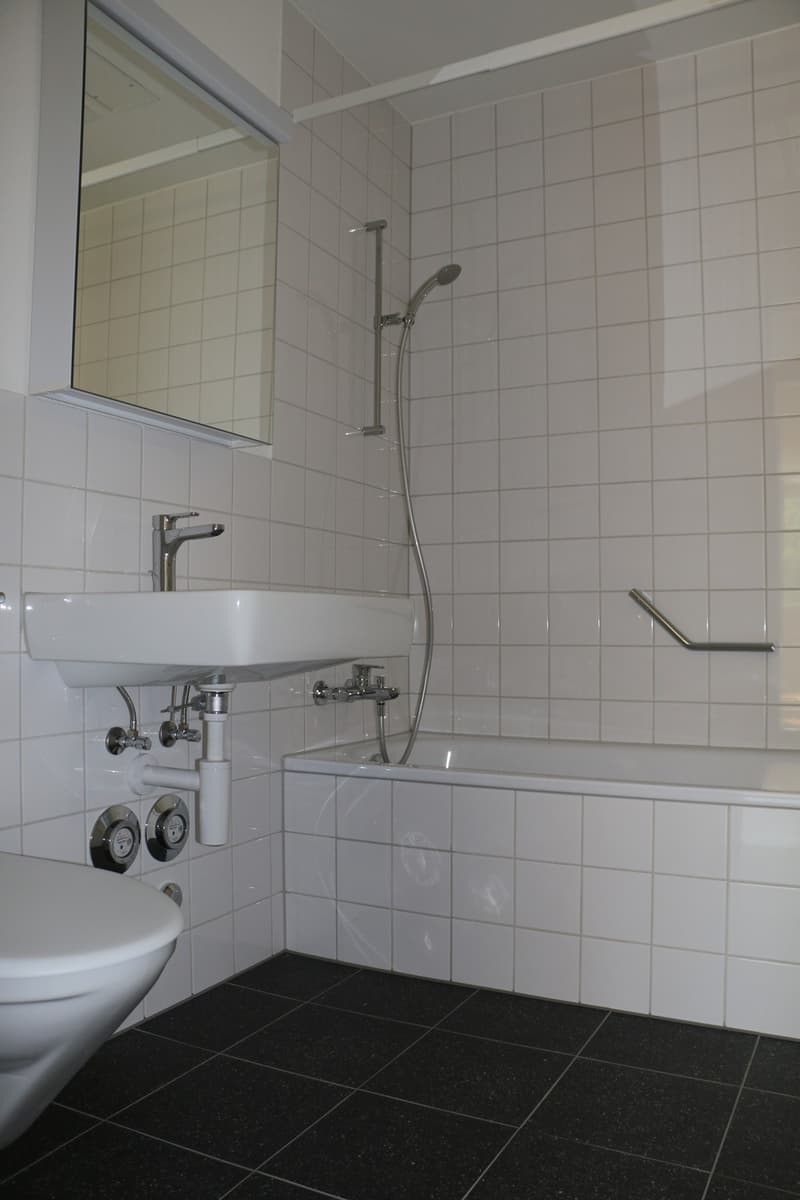 3.5-Zimmer-Wohnung - Wallrütistrasse 119a, 8404 Winterthur (10)