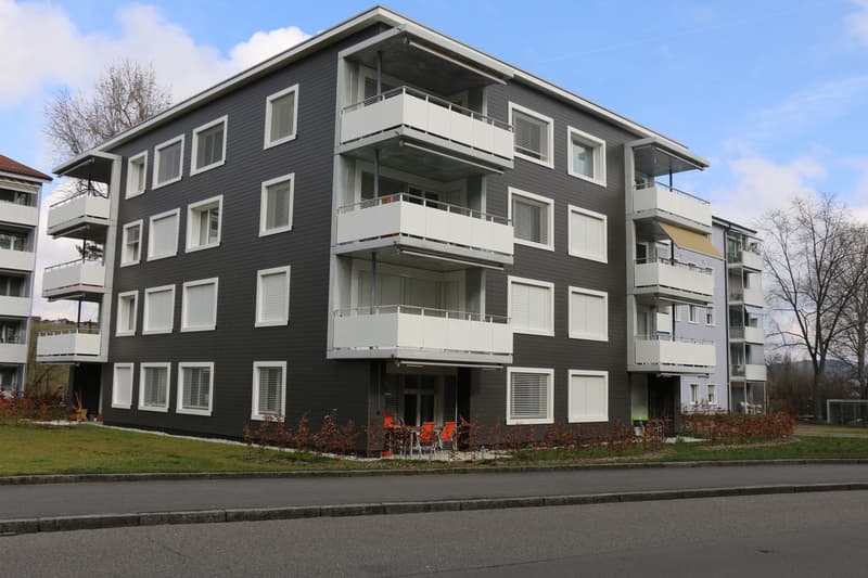 3.5-Zimmer-Wohnung - Wallrütistrasse 119a, 8404 Winterthur (1)