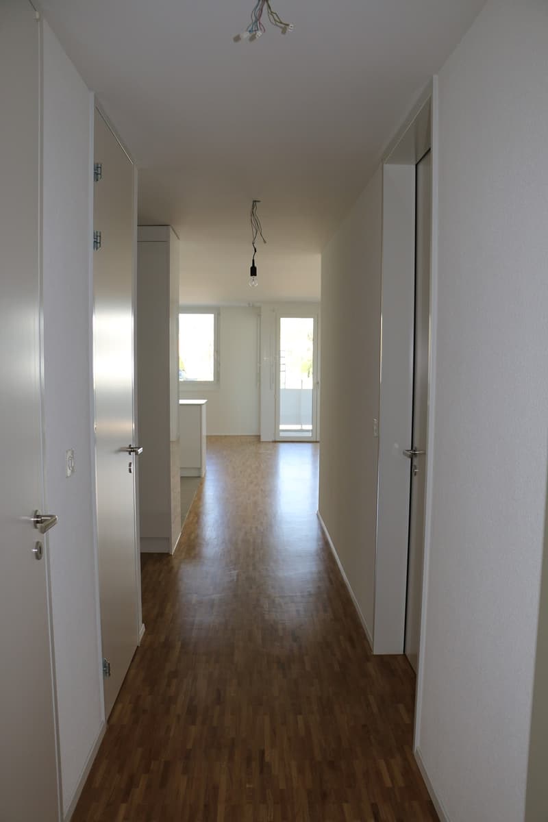 3.5-Zimmer-Wohnung - Wallrütistrasse 119a, 8404 Winterthur (3)