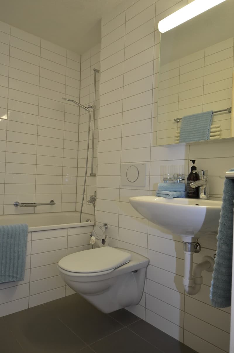 Attraktive 4.5-Zimmer-Wohnung im Erdgeschoss in Forch (6)