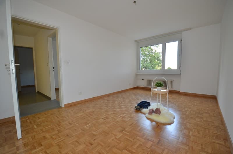 Attraktive 4.5-Zimmer-Wohnung im Erdgeschoss in Forch (3)