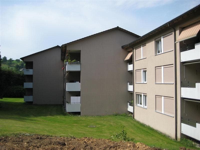 Attraktive 4.5-Zimmer-Wohnung im Erdgeschoss in Forch (1)