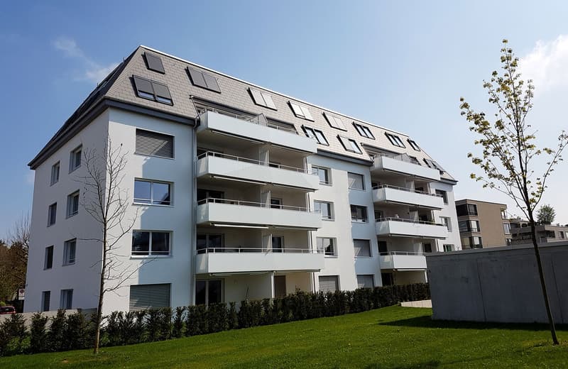 Top moderne 4.5-Zimmerwohnung mit Balkon in Allschwil (1)