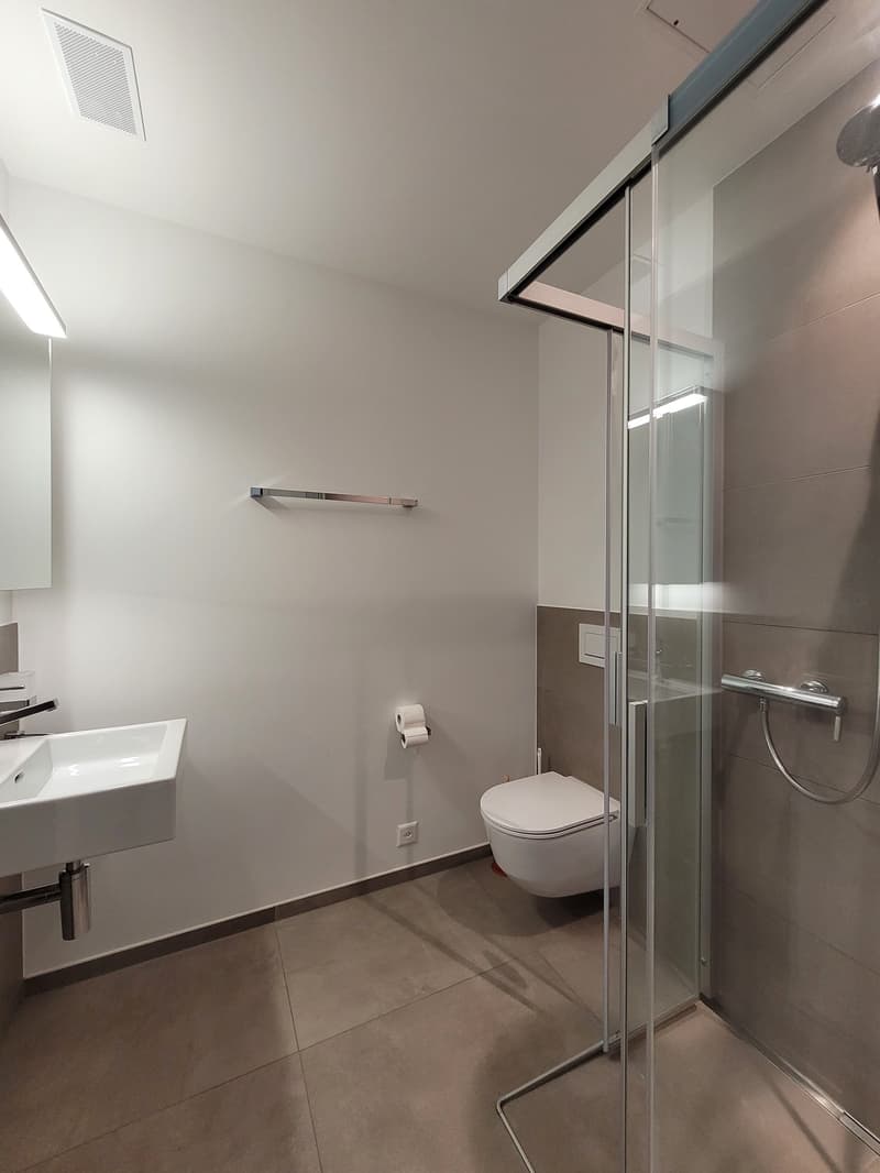Appartamento 4,5 locali moderno (con WM, TU + sala hobby) su Nespelmattweg (6)