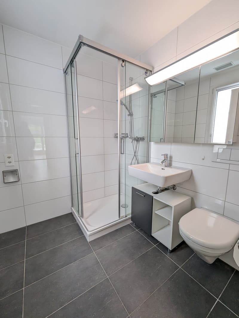 Maison unifamiliale moderne de 5,5 pièces avec norme Minergie à Arisdorf (8)