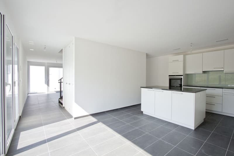 Maison unifamiliale moderne de 5,5 pièces avec norme Minergie à Arisdorf (3)
