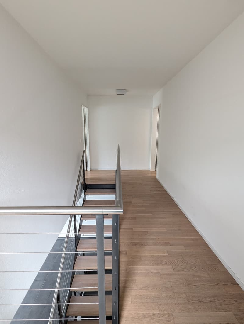 Maison unifamiliale moderne de 5,5 pièces avec norme Minergie à Arisdorf (6)