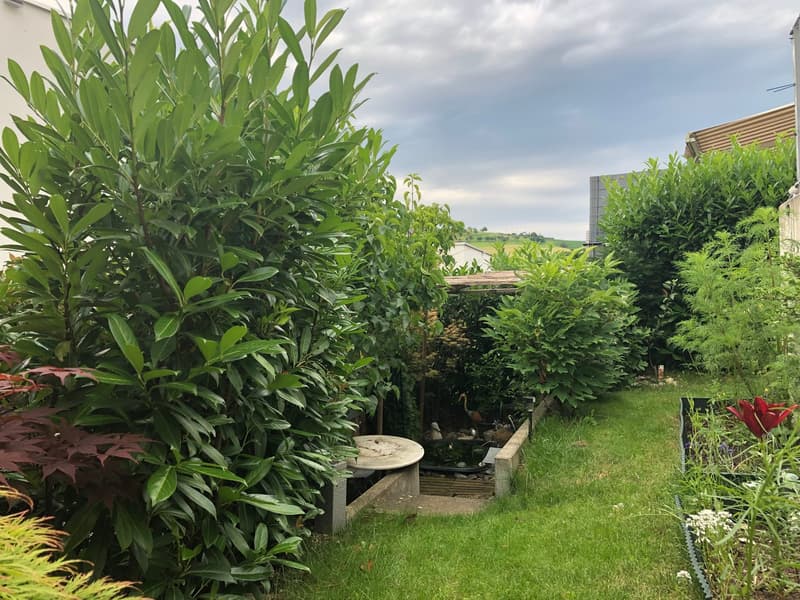 Maison unifamiliale moderne de 5,5 pièces avec norme Minergie à Arisdorf (13)