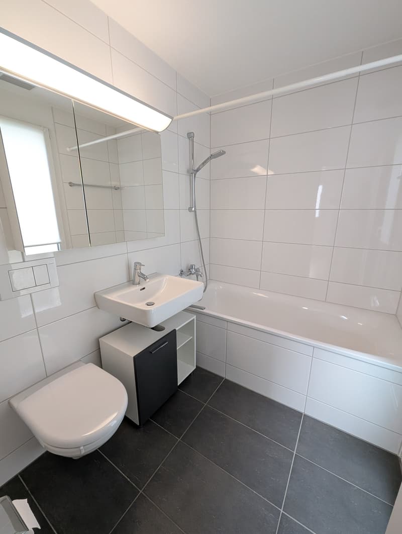 Maison unifamiliale moderne de 5,5 pièces avec norme Minergie à Arisdorf (10)