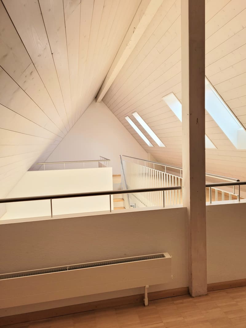 Maisonette moderna di 3,5 locali con giardino invernale + galleria (3)