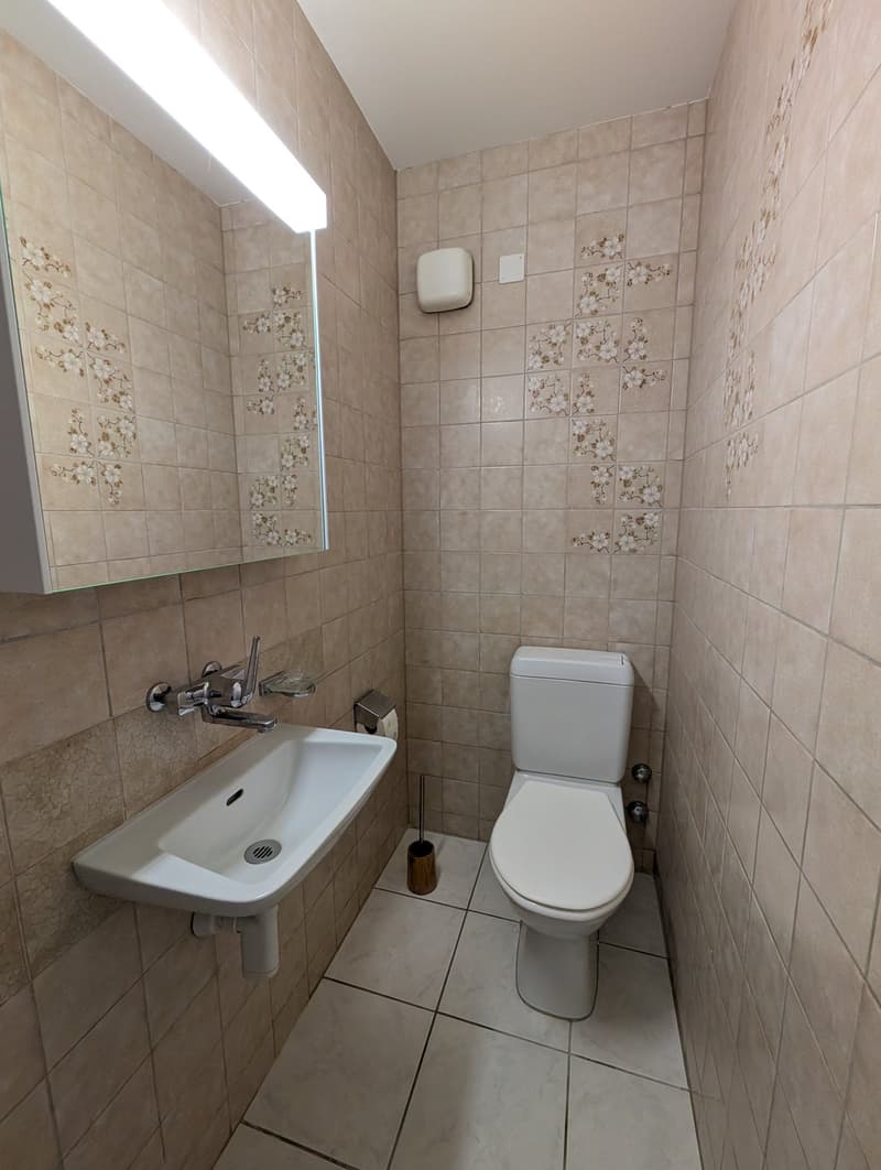 Ampio appartamento di 4,5 locali (105 m2) nel vecchio centro del villaggio di Münchenstein (10)