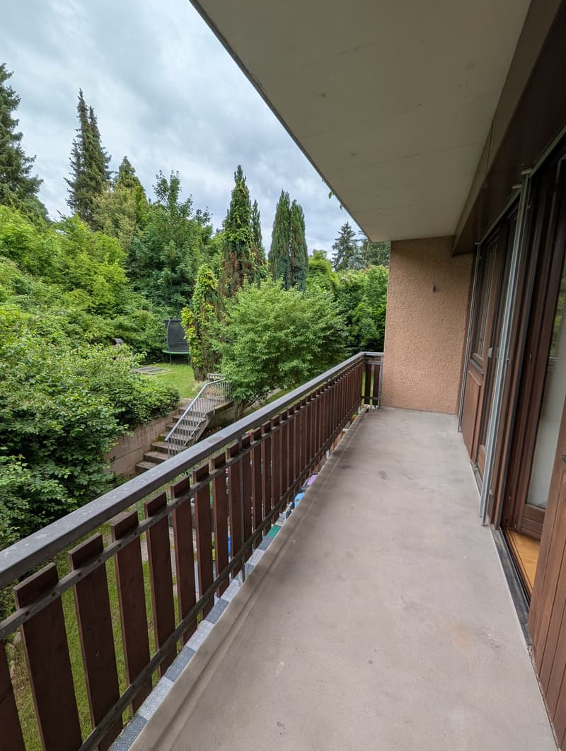Ampio appartamento di 4,5 locali (105 m2) nel vecchio centro del villaggio di Münchenstein (5)