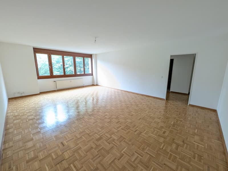 Ampio appartamento di 4,5 locali (105 m2) nel vecchio centro del villaggio di Münchenstein (1)