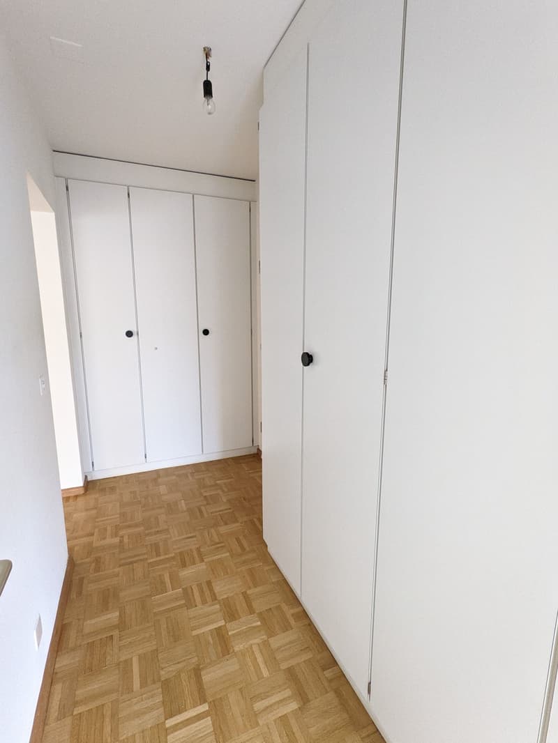 Ampio appartamento di 4,5 locali (105 m2) nel vecchio centro del villaggio di Münchenstein (4)