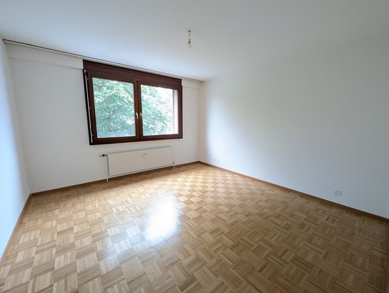Ampio appartamento di 4,5 locali (105 m2) nel vecchio centro del villaggio di Münchenstein (2)