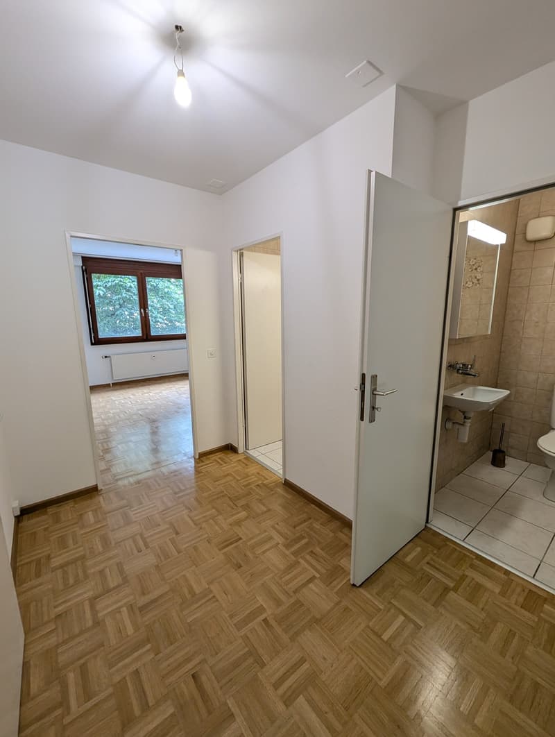 Ampio appartamento di 4,5 locali (105 m2) nel vecchio centro del villaggio di Münchenstein (6)