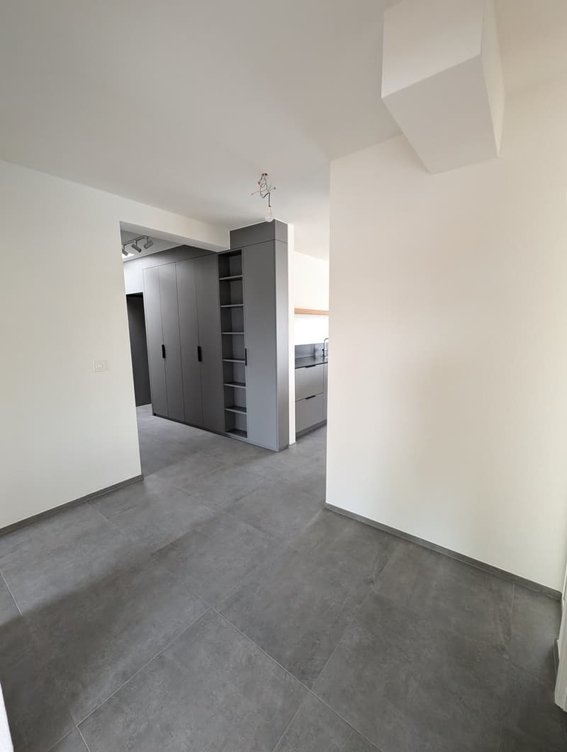 Exclusive 4.5-room attic apartment with 2 terraces in St. Johann (16)