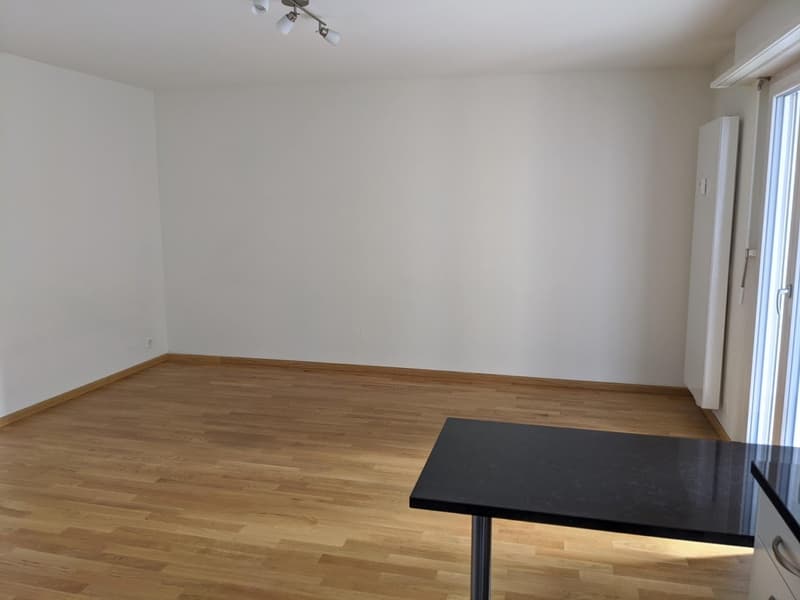 Appartement moderne 1 pièce à proximité du parc Kannefeld (3)