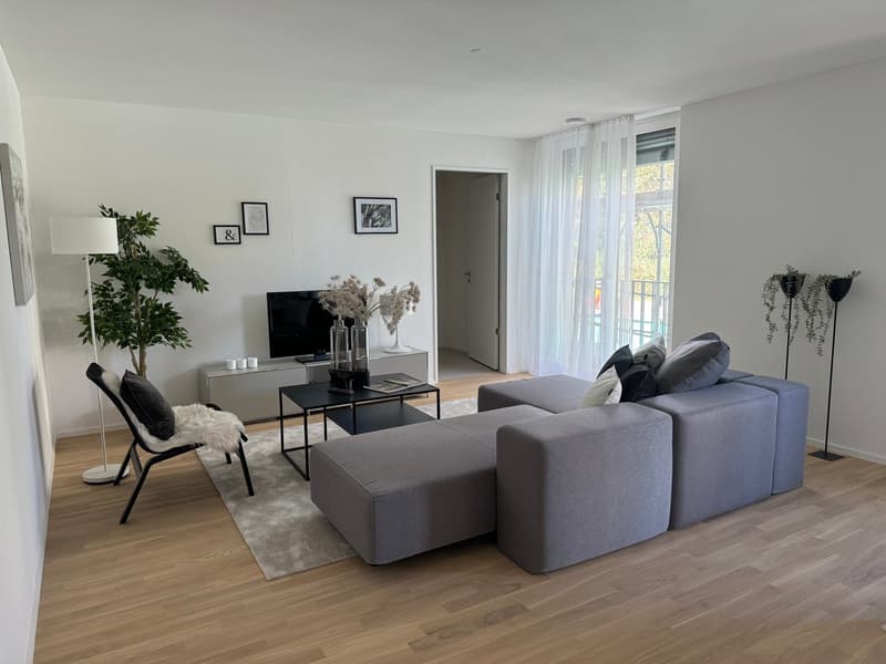 Appartamento 3,5 locali moderno (1° piano) con loggia, ascensore + torre di lavaggio privata (5)