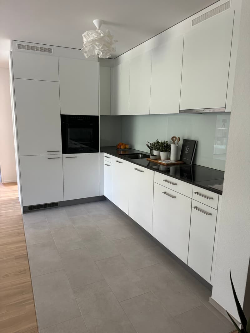 Appartamento 3,5 locali moderno (1° piano) con loggia, ascensore + torre di lavaggio privata (2)