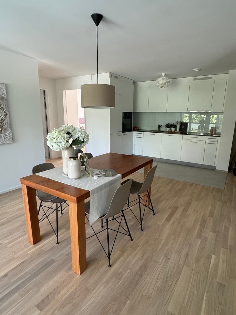 Appartamento 3,5 locali moderno (1° piano) con loggia, ascensore + torre di lavaggio privata (6)
