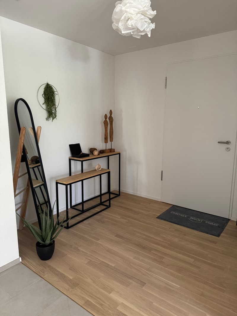Appartamento 3,5 locali moderno (1° piano) con loggia, ascensore + torre di lavaggio privata (4)