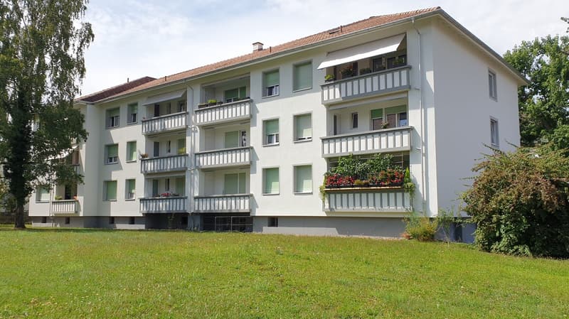 Helle 3,5-Zi'Wohnung mit Charme an zentraler sowie ruhiger Lage (1)