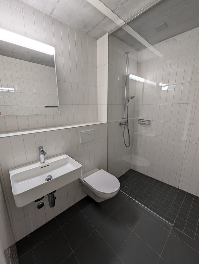 Moderne 1-ZWG (1H) an der St. Jakob-Str. 110 in Muttenz (6)