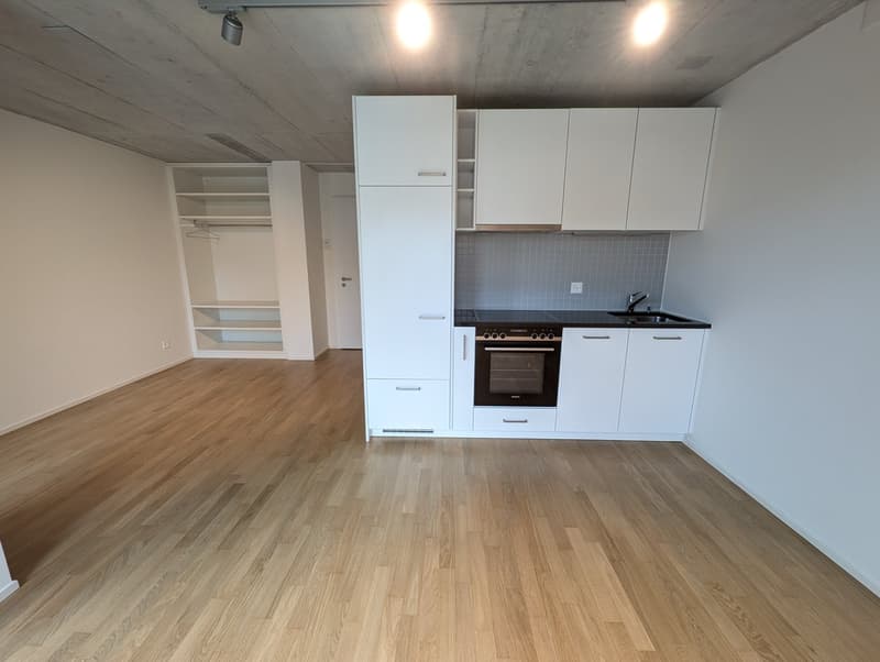 Moderne 1-ZWG (1H) an der St. Jakob-Str. 110 in Muttenz (2)