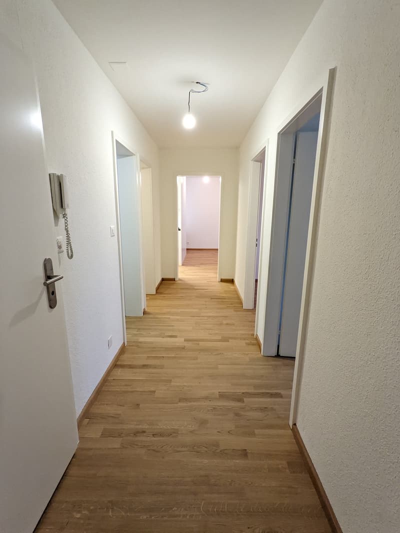 Appartement 4 pièces en partie rénové à Arlesheim (6)