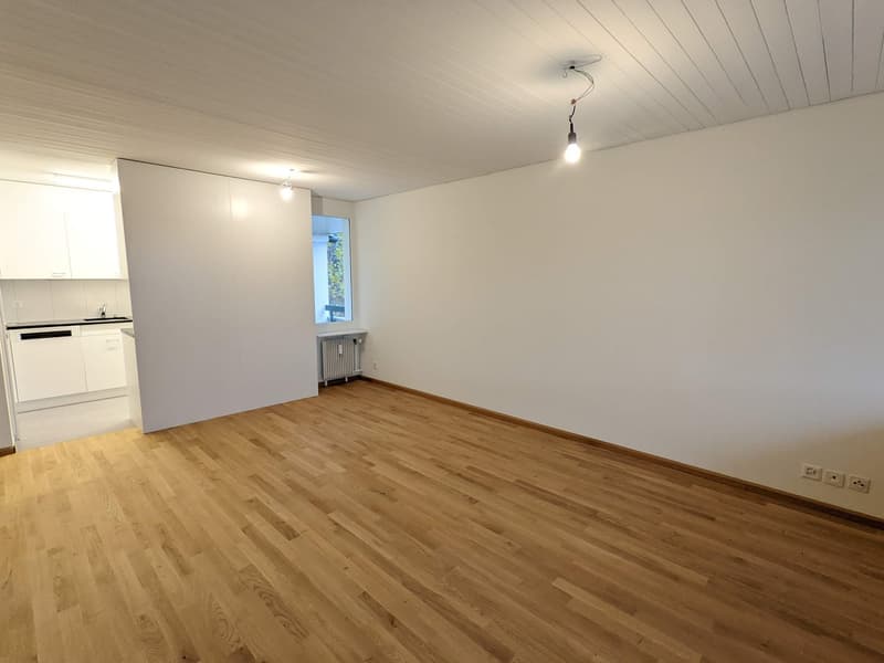 Appartement 4 pièces en partie rénové à Arlesheim (2)