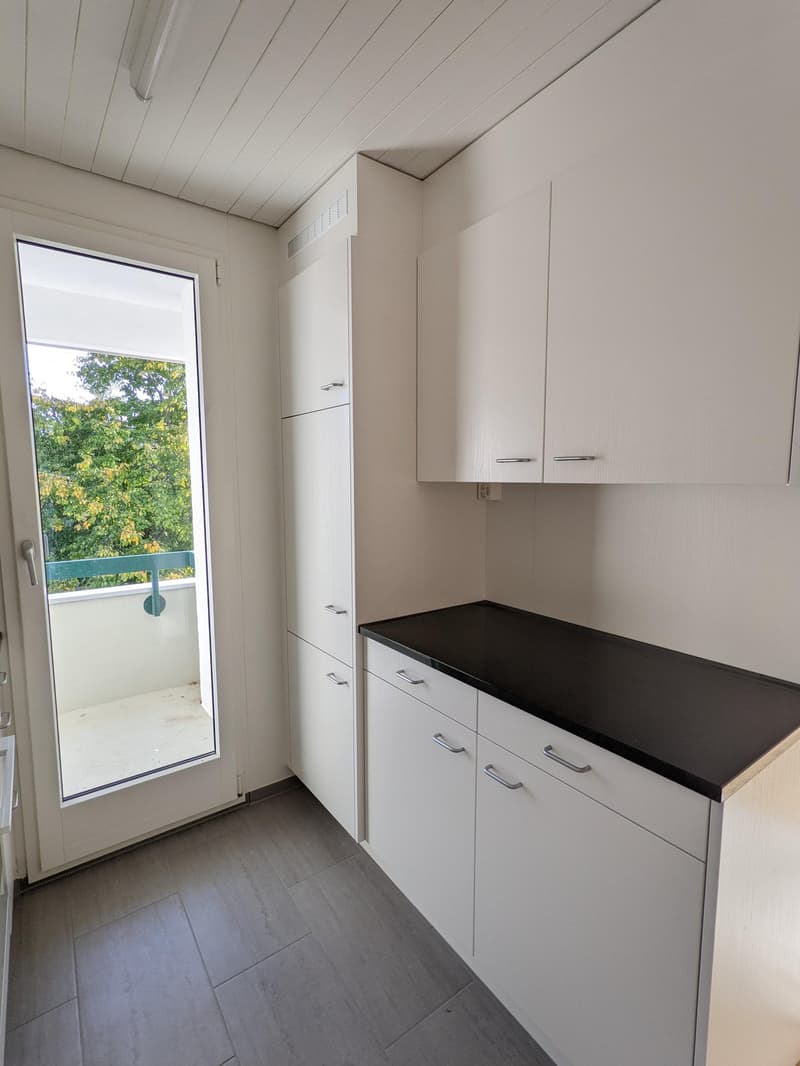 Appartement 4 pièces en partie rénové à Arlesheim (5)