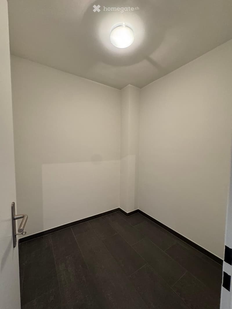 Modern 4.5-room apartment with balcony and lift in Pratteln (10)